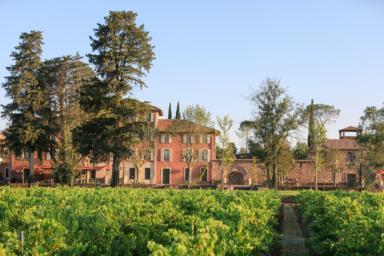 Weinverkostung Provence Chateau Saint Roux