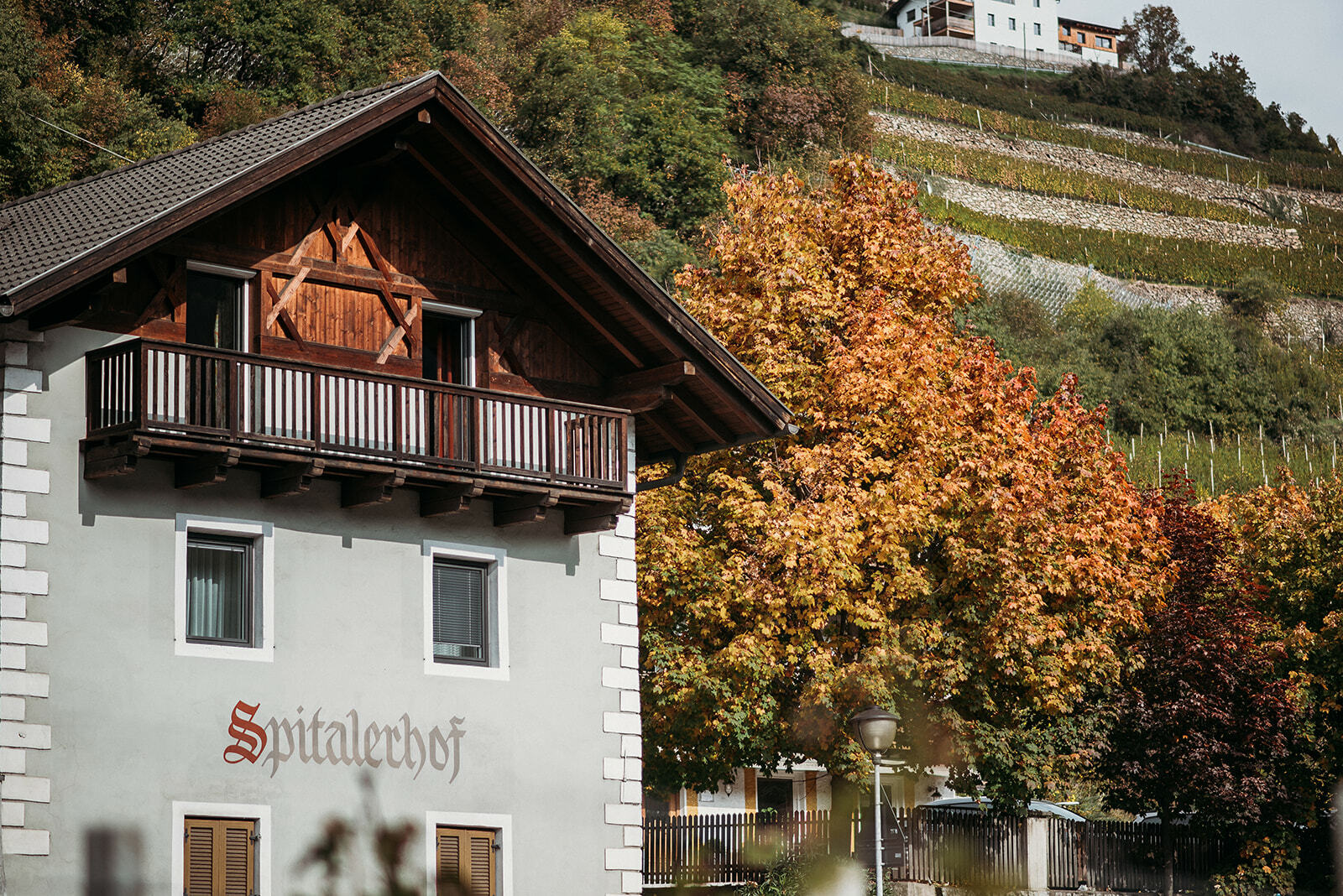 Weinurlaub in Südtirol