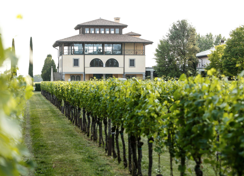 Urlaub auf dem Weingut