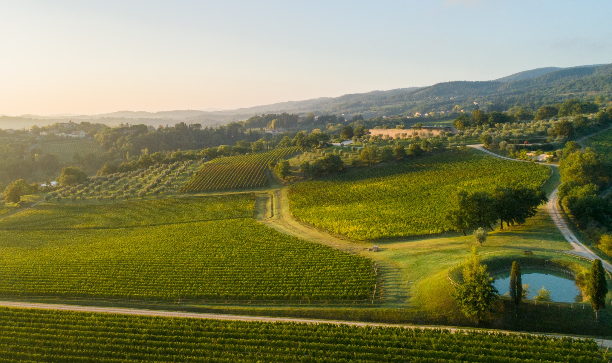 Bulgari Weingut Toskana