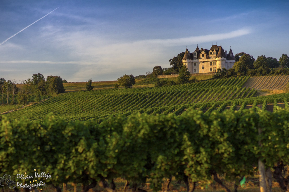 Chateau Monbazillac besichtigen