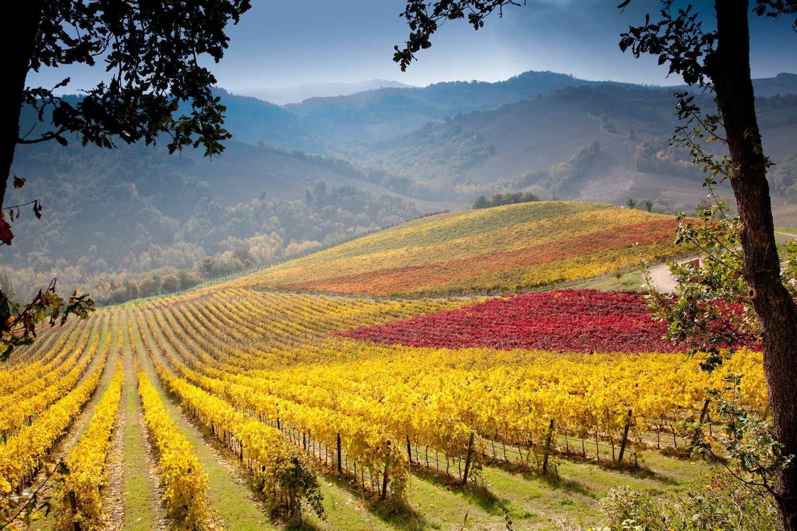 Weinreise Italien