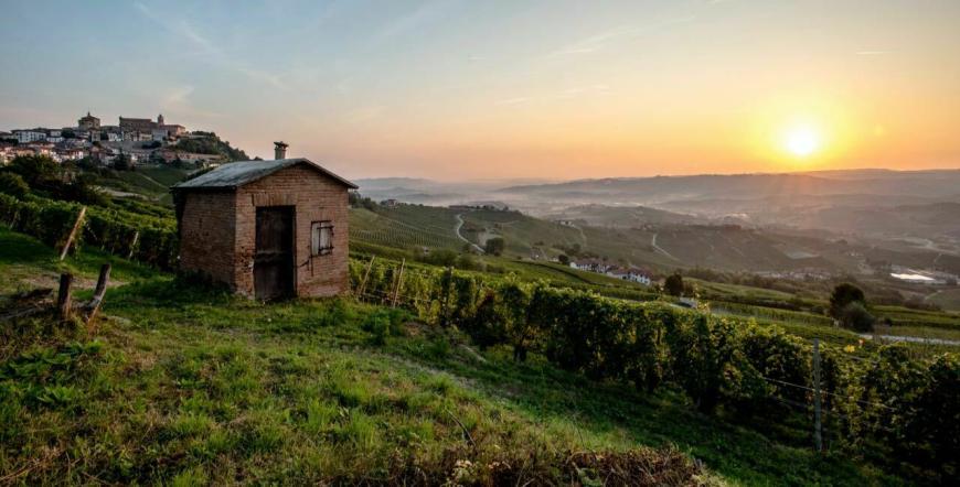 Trüffelreise im Piemont