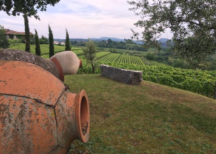 Das Geheimnis des Orange Wine. Was ist das eigentlich?
