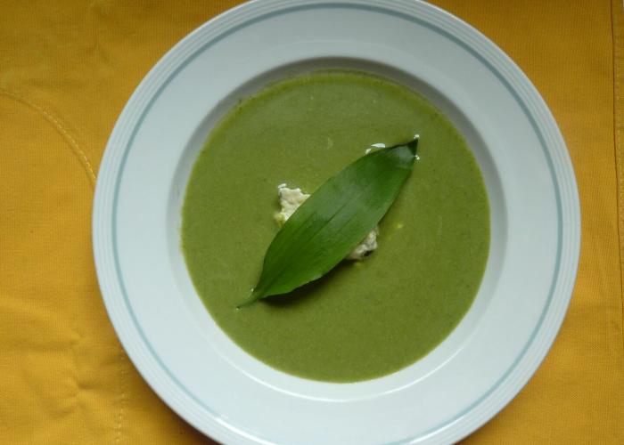 Bärlauchsuppe mit Bärlauchnocken 