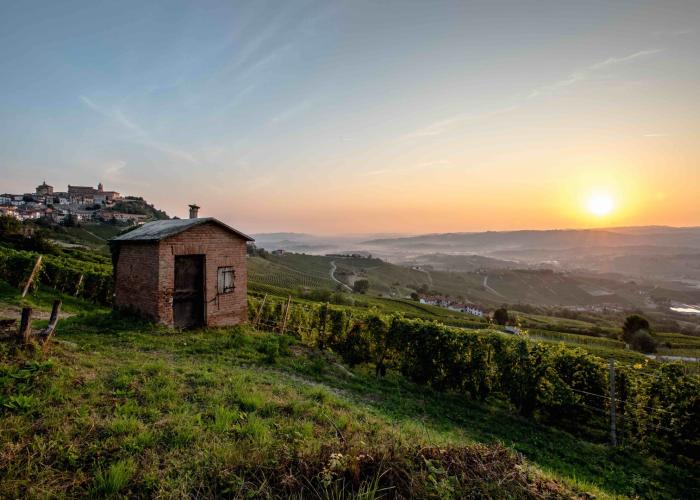 ALBA TRÜFFEL: TRÜFFELREISE zum Hotel UVE in PIEMONT, Italien