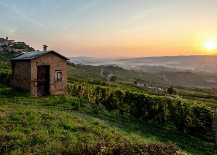 Trüffelreise im Piemont