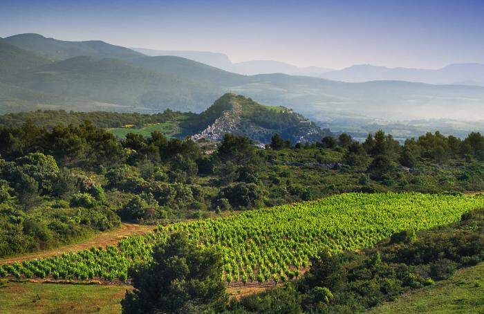 Provence Rundreise bis ins Languedoc für Genießer Provence Rundreise bis ins Languedoc für Genießer