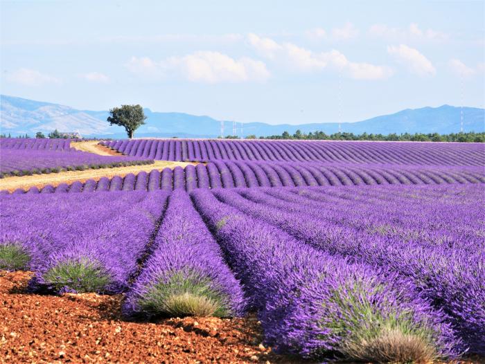 Provence Rundreise bis ins Languedoc für Genießer Provence Rundreise bis ins Languedoc für Genießer