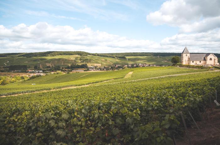 Rundreise Champagne mit Burgund für Genießer Rundreise Champagne mit Burgund für Genießer
