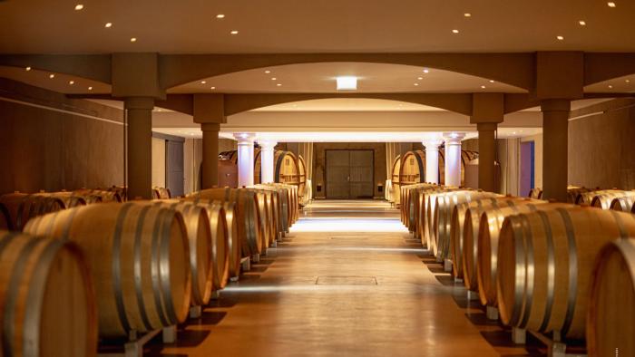 Weinverkostung Languedoc Weinreiese Südfrankreich Weinverkostung Languedoc Weinreiese Südfrankreich