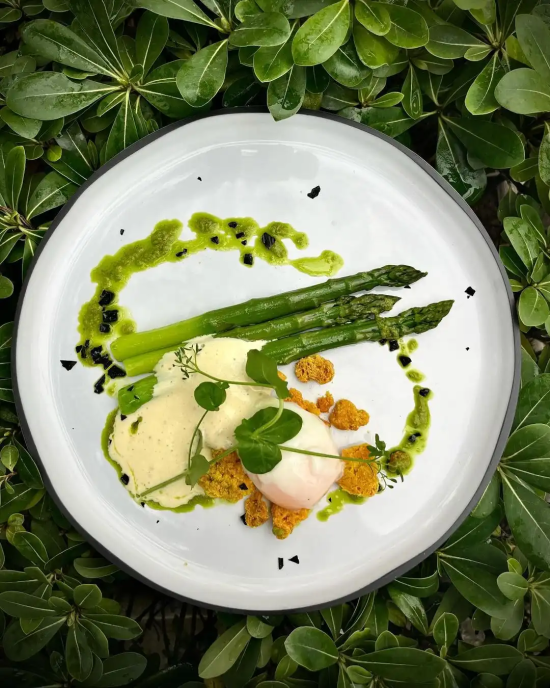 Bistrot Saint Roch Geniessertipp Arles Bistrot Saint Roch Geniessertipp Arles