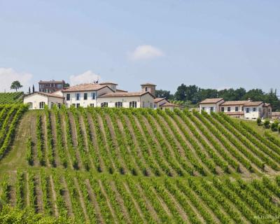 Weinverkostung mit Übernachtung im Weingut Borgo Condé
