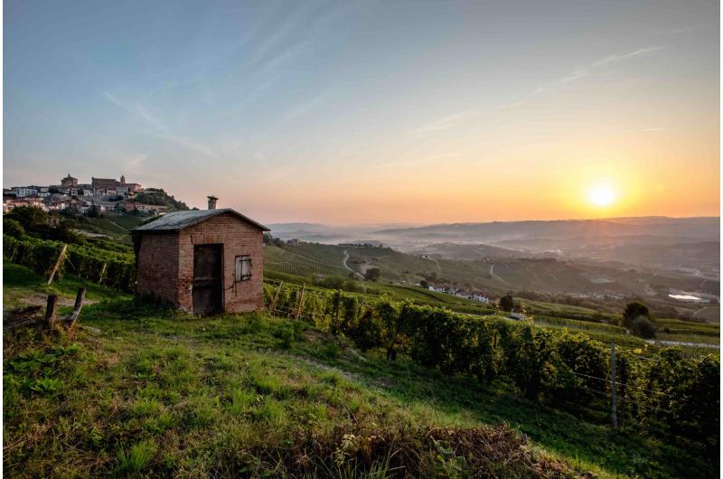 ALBA TRÜFFEL: TRÜFFELREISE zum Hotel UVE in PIEMONT, Italien