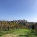Genussvoller Kurzurlaub im Piemont - Langhe Reise für Genießer
