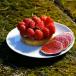 Urlaub in Aix-en-Provence im romantischen Hideaway Le Pigonnet: Magischer Ort und Haute Cuisine