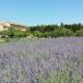 Apulien Urlaub im Salento im Bio-Resort