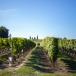 GRUPPENREISE BORDEAUX UND DIE ATLANTIK KÜSTE: Von Bordeaux über Périgord bis Arcachon 