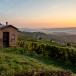 Trüffelreise Italien: Piemont, Umbrien oder Emilia-Romagna - kommen Sie mit auf Trüffeljagd.