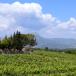 Urlaub in der Provence