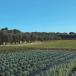 Apulien Urlaub im Salento im Bio-Resort