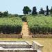 Apulien Urlaub im Salento im Bio-Resort